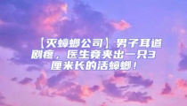 【滅蟑螂公司】男子耳道劇疼,醫生竟夾出一只3厘米長的活蟑螂!