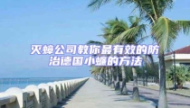 滅蟑公司教你最有效的防治德國(guó)小蠊的方法