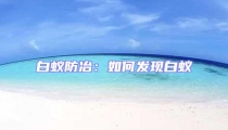 白蟻防冶:如何發(fā)現(xiàn)白蟻