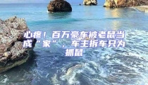 心疼!百萬豪車被老鼠當成“家”,車主拆車只為抓鼠