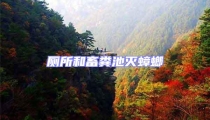 廁所和畜糞池滅蟑螂