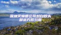深圳滅蟑螂公司對白蟻頭部近方形分析
