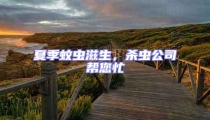 夏季蚊蟲滋生,殺蟲公司幫您忙