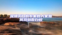深圳滅白蟻專家教大家如何找到散白蟻
