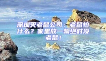 深圳滅老鼠公司:老鼠怕什么?家里放一物絕對沒老鼠!