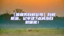 【深圳滅白蟻公司】白蟻防治,記牢這7點減少白蟻困擾!
