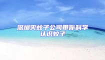 深圳滅蚊子公司帶你科學認識蚊子