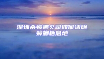 深圳殺蟑螂公司如何清除蟑螂棲息地