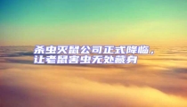殺蟲滅鼠公司正式降臨,讓老鼠害蟲無處藏身