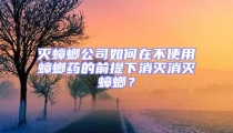 滅蟑螂公司如何在不使用蟑螂藥的前提下消滅消滅蟑螂?