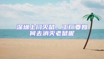 深圳上門滅鼠,工廠要如何去消滅老鼠呢