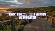 白蟻飛到二、三十層高的現象的原因