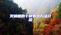 滅蟑螂的十種有效方法介紹