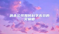 消殺公司如何科學高效的滅蟑螂
