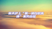 前天滬上“第一波白蟻高峰”來勢兇猛