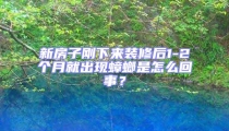 新房子剛下來裝修后1-2個月就出現蟑螂是怎么回事?