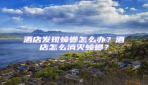 酒店發(fā)現(xiàn)蟑螂怎么辦?酒店怎么消滅蟑螂?