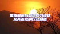 帶你知道白蟻生活習慣以及其多見的行動知道