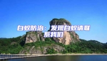白蟻防治:發(fā)現(xiàn)白蟻請聯(lián)系我們