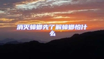 消滅蟑螂先了解蟑螂怕什么