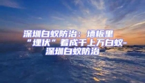 深圳白蟻防治:墻板里“埋伏”著成千上萬白蟻-深圳白蟻防治