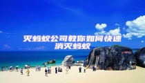 滅螞蟻公司教你如何快速消滅螞蟻