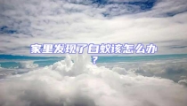 家里發(fā)現(xiàn)了白蟻該怎么辦?
