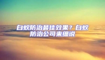 白蟻防治最佳效果?白蟻防治公司來細(xì)說