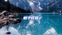 蚊子叮咬