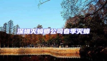 深圳滅蟑螂公司春季滅蟑