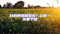 白蟻種類知多少?讓你一次看個夠