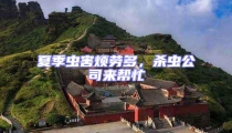 夏季蟲害煩勞多,殺蟲公司來幫忙