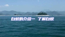 白蟻的介紹一 了解白蟻