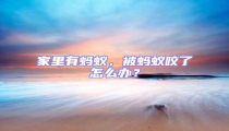 家里有螞蟻,被螞蟻咬了怎么辦?