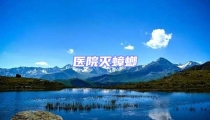 醫院滅蟑螂