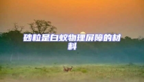 砂粒是白蟻物理屏障的材料