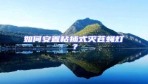 如何安置粘捕式滅蒼蠅燈?