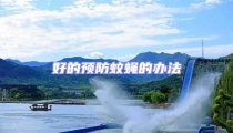 好的預防蚊蠅的辦法