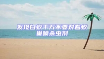 發現白蟻千萬不要對著蟻巢噴殺蟲劑