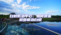 白蟻防治中心:如何誘殺蟻群根治白蟻