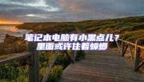 筆記本電腦有小黑點兒?里面或許住著蟑螂