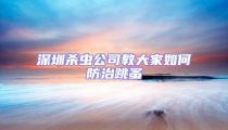 深圳殺蟲公司教大家如何防治跳蚤