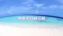 教你滅白蟻三招