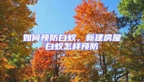 如何預防白蟻,新建房屋白蟻怎樣預防