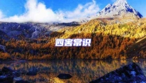 四害常識