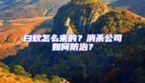 白蟻怎么來的?消殺公司如何防治?