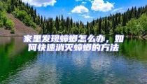 家里發現蟑螂怎么辦,如何快速消滅蟑螂的方法