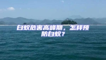 白蟻危害高峰期,怎樣預防白蟻?