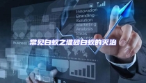 常見白蟻之堆砂白蟻的滅治
