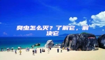 臭蟲怎么滅?了解它,解決它